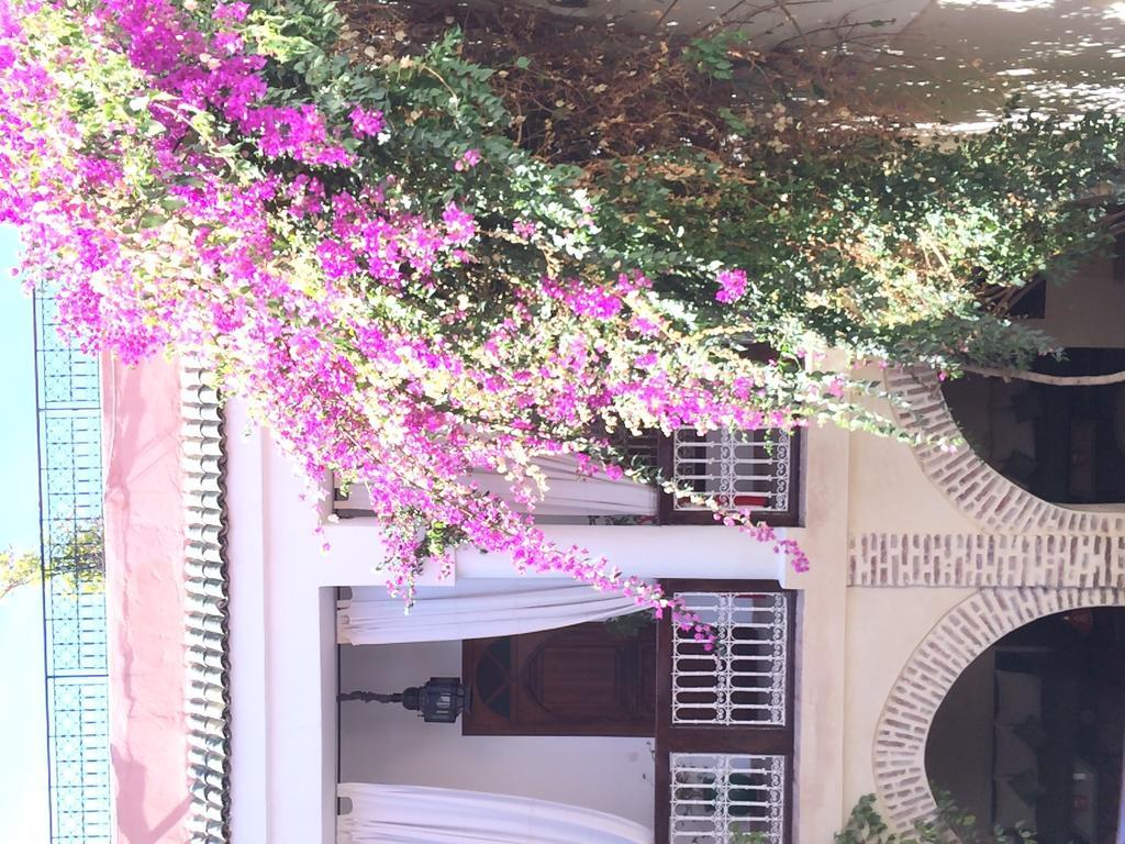 Riad Dar Palmyra Марракеш Екстер'єр фото
